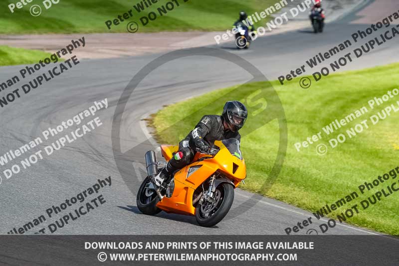 enduro digital images;event digital images;eventdigitalimages;lydden hill;lydden no limits trackday;lydden photographs;lydden trackday photographs;no limits trackdays;peter wileman photography;racing digital images;trackday digital images;trackday photos
